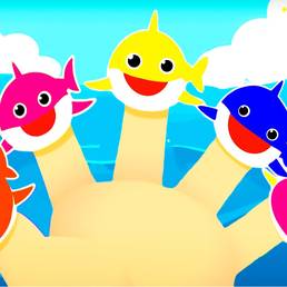 Ocean Animal Card